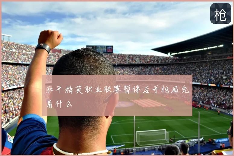 和平精英职业联赛暂停后手枪局先看什么